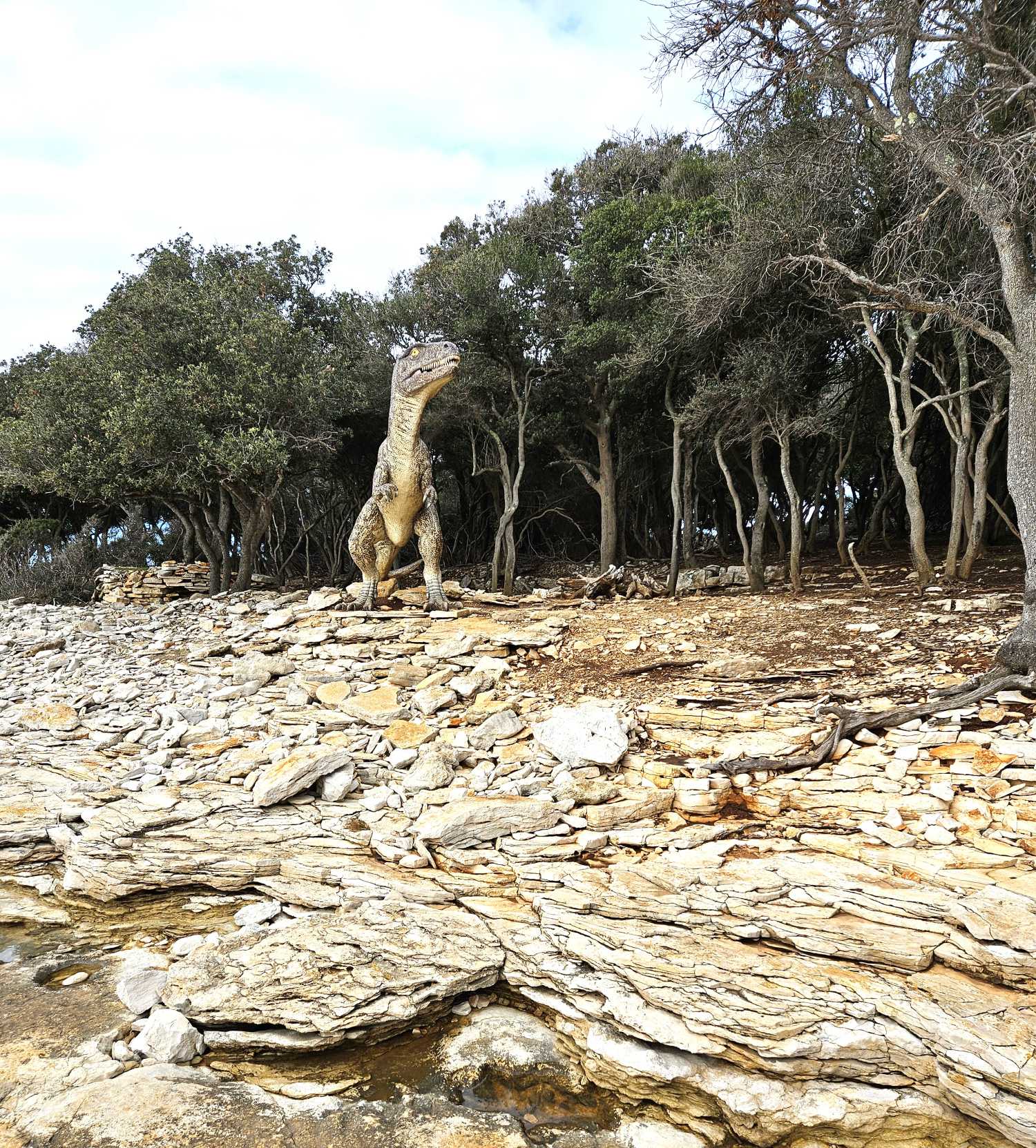 Calusem Dinosaur Footprints Brought to Life: EduCalucemTech Breakfast